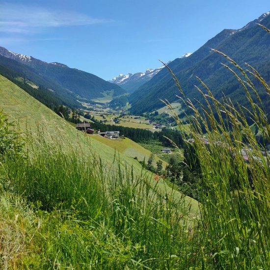 niederkoflhof suedtirol dolomiten 8