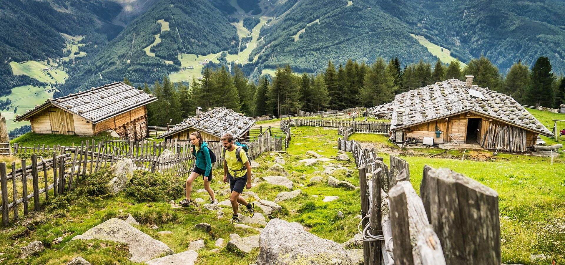 niederkoflhof suedtirol sommerurlaub ahrntal zillertal naturpark (1)