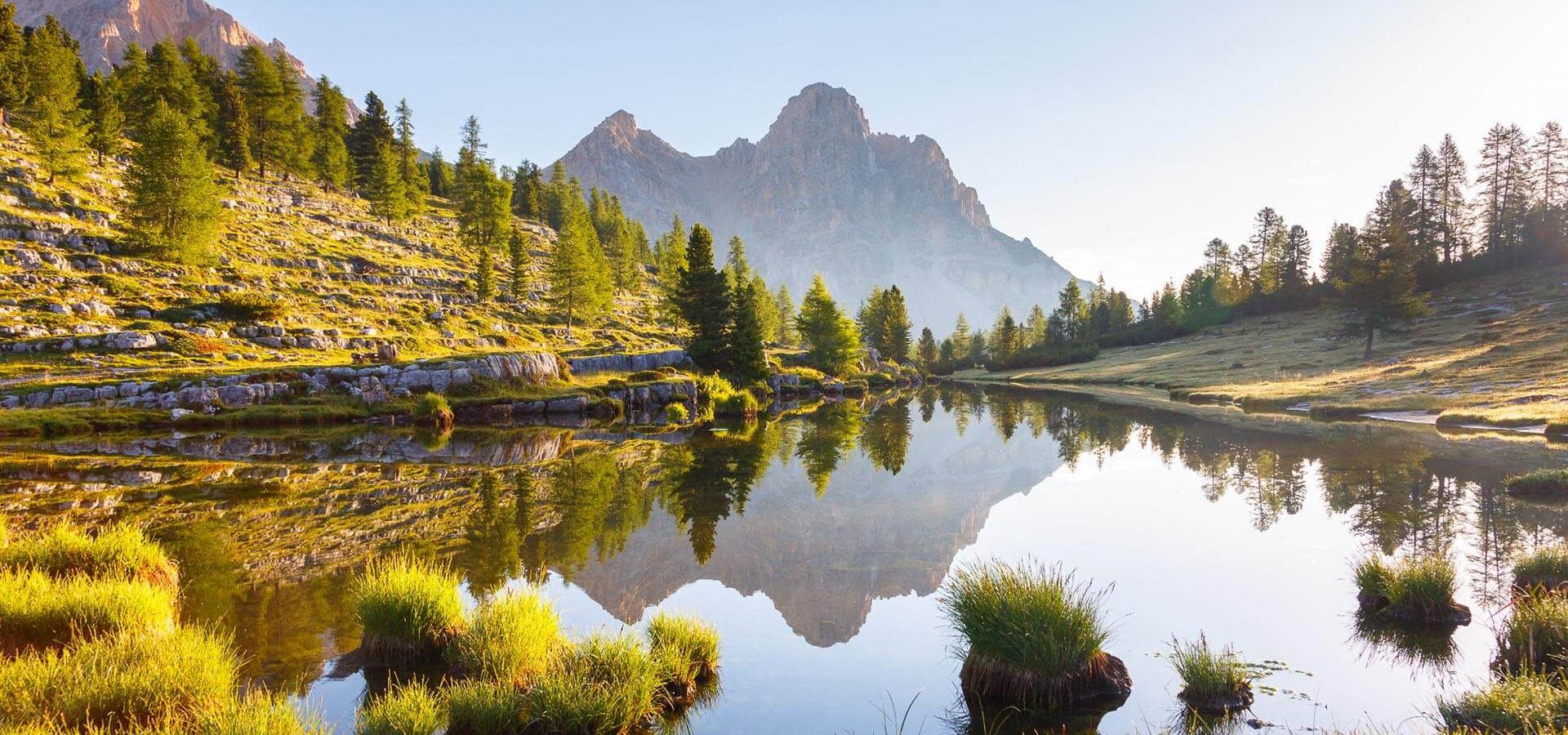 niederkoflhof suedtirol sommerurlaub ahrntal zillertal naturpark (3)