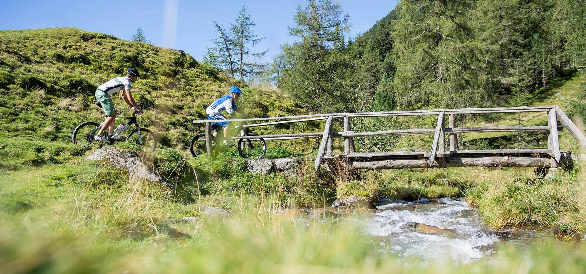 niederkoflhof suedtirol sommerurlaub ahrntal zillertal naturpark (4)