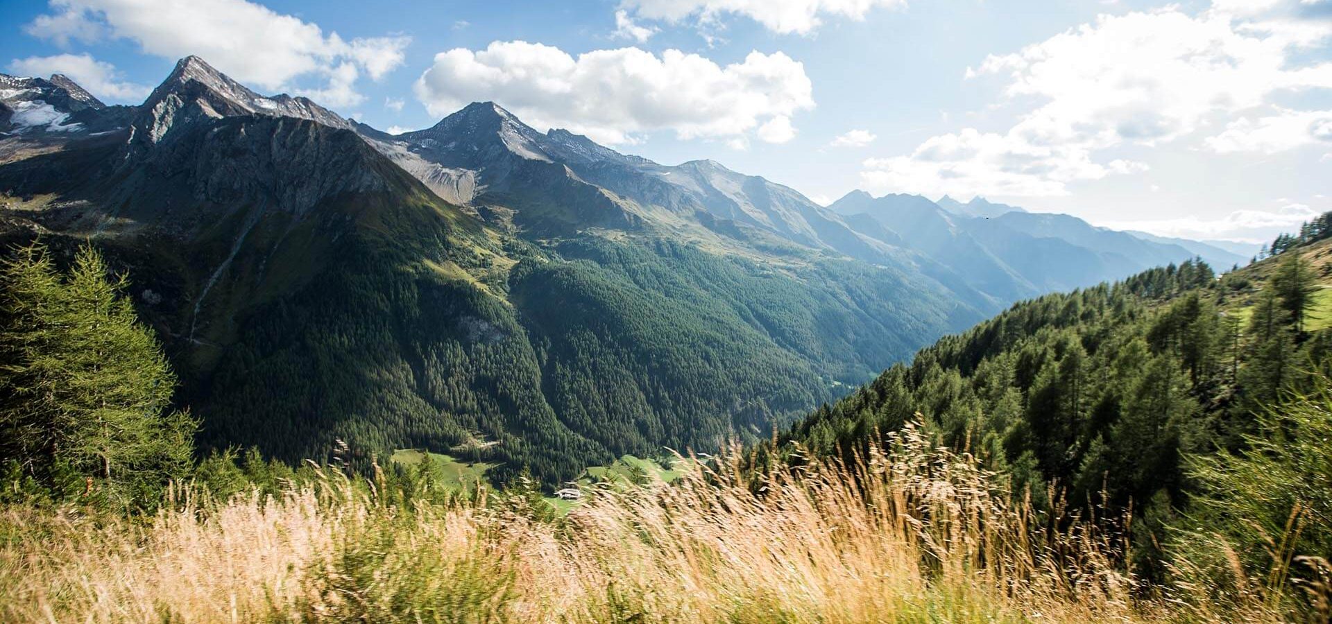 niederkoflhof suedtirol sommerurlaub ahrntal zillertal naturpark (5)