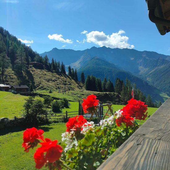 St. Jakob Almhütte Jausenstation Wollbachalm (10)