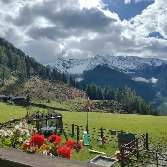 St. Jakob Almhütte Jausenstation Wollbachalm (11)