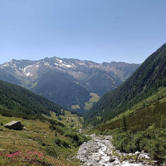 St. Jakob Almhütte Jausenstation Wollbachalm (12)