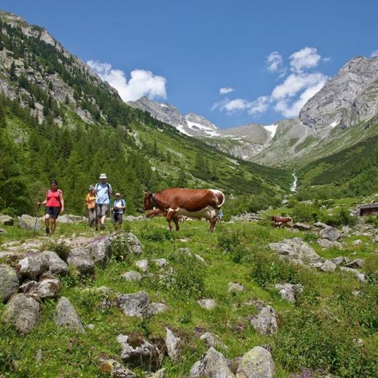 St. Jakob Almhütte Jausenstation Wollbachalm (4)