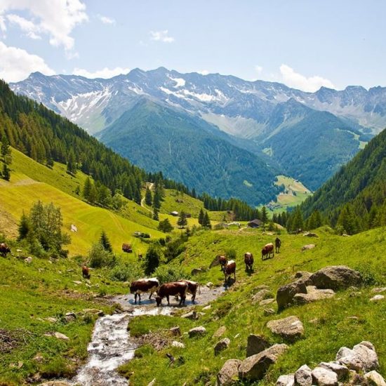 St. Jakob Almhütte Jausenstation Wollbachalm (6)