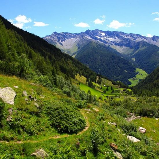 St. Jakob Almhütte Jausenstation Wollbachalm (9)